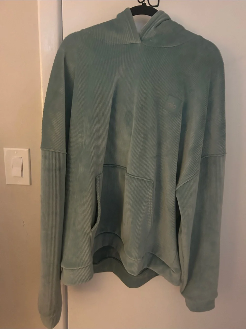 Alo Oversized Velour Ribbed Baller Hoodie in Seafoam Green XL